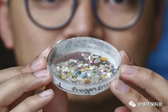 關(guān)于“微塑料”的危害，你了解多少？